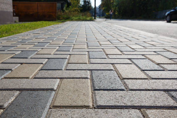 Best Driveway Paving Contractor  in Elgin, IL