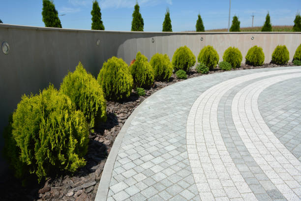 Best Best Driveway Pavers  in Elgin, IL